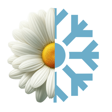 New System Installation Icon